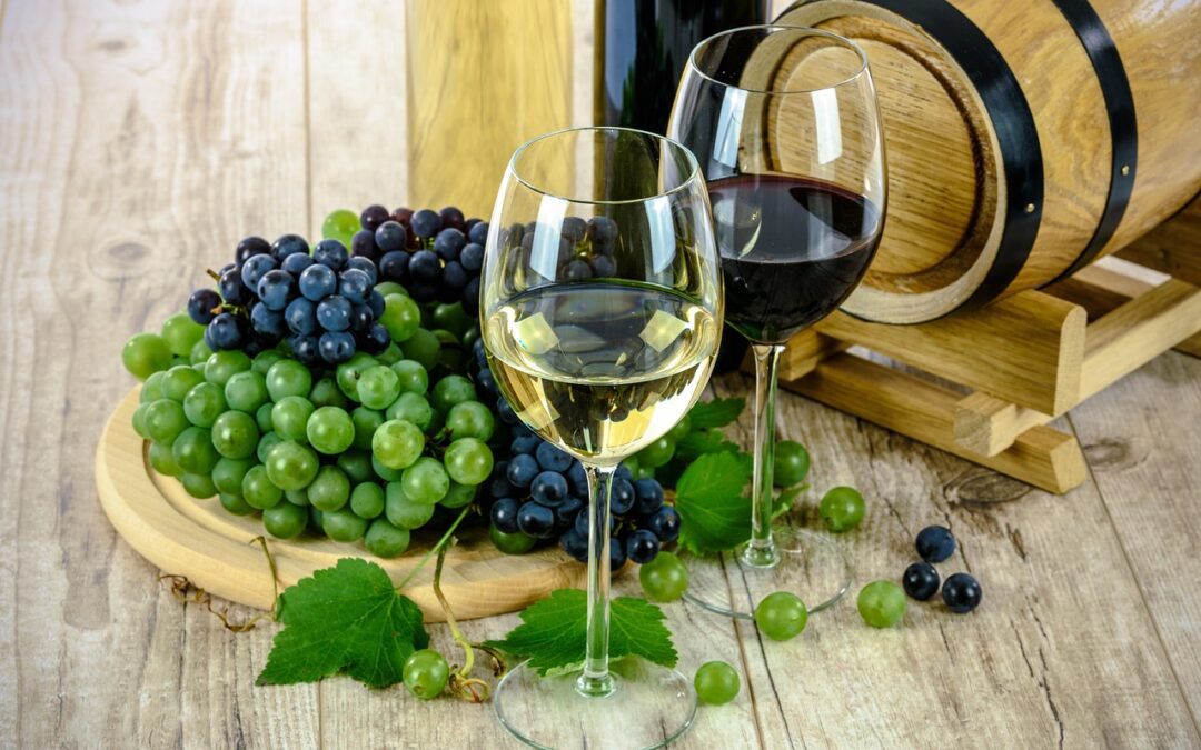 wines, glasses, wine glasses, stemware, glassware, white wine, red wine, winery, viticulture, wine tasting, drinks, toast, pair, grapes, alcohol, barrel, vintage, liquid, alcoholic, bar, vine, fruits, taste, france, europe, merlot, sauvignon, red wine, winery, winery, wine tasting, wine tasting, drinks, drinks, alcohol, alcohol, alcohol, alcohol, alcohol, bar, vine, vine, fruits, fruits, france, france, france
